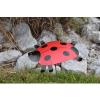 Ladybug Outdoor