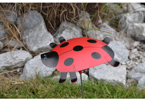 Florida Dancing Birds Ladybug Outdoor   Florida Dancing Birds Ladybug Outdoor