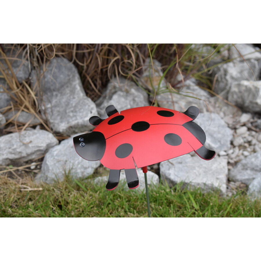 Ladybug Outdoor