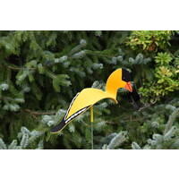 Dancing Goldfinch