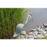 Dancing Lawn Great Blue Heron