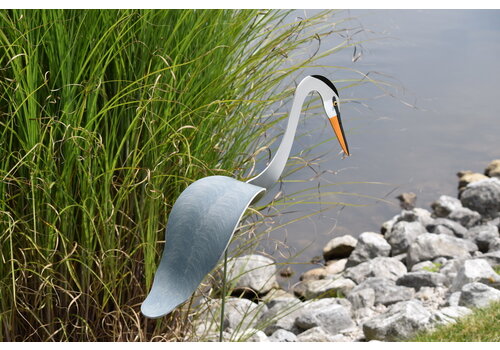  Florida Dancing Birds Dancing Lawn Great Blue Heron 