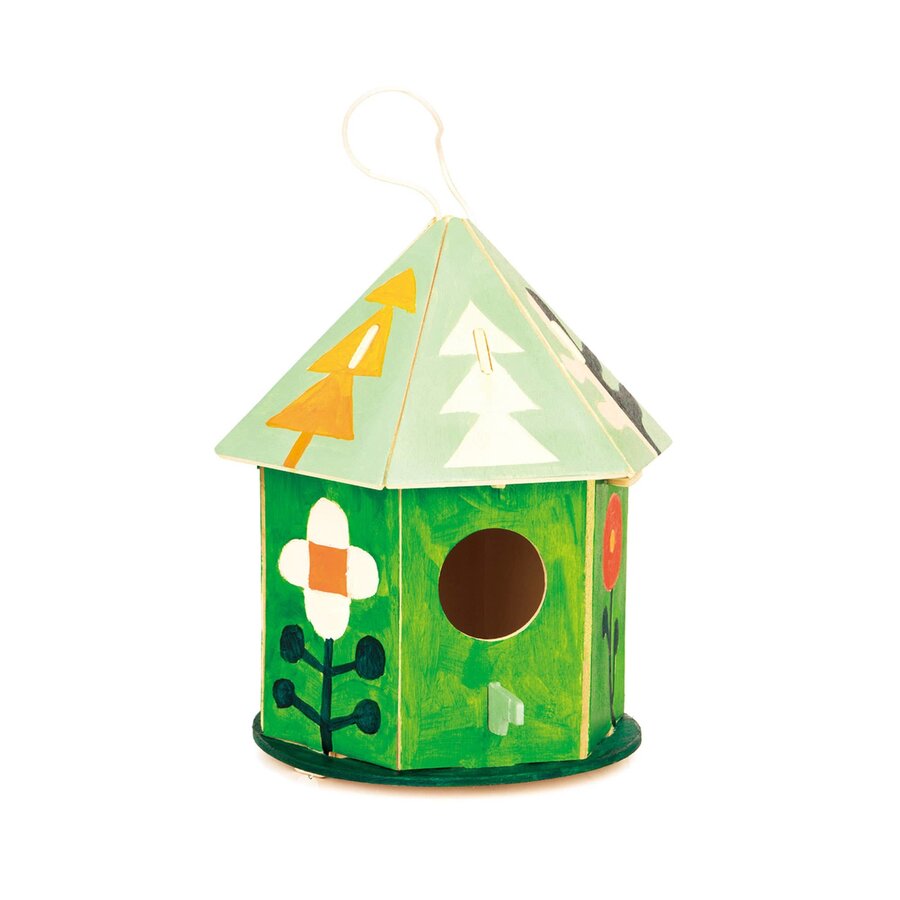 DIY 3D Wooden Birdhouse with Paint Kit Hex