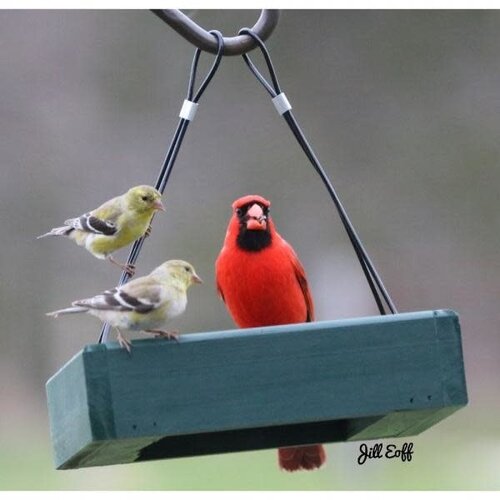  Petite Green Hanging Tray Feeder* 