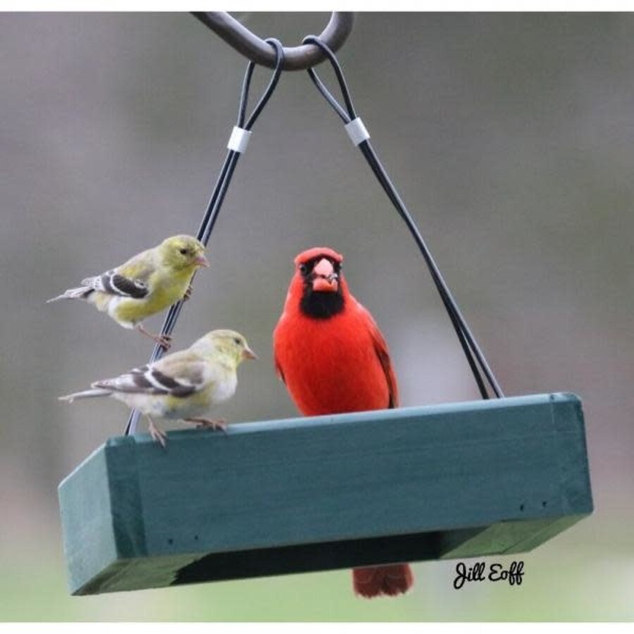 Petite Green Hanging Tray Feeder*