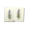 Earth sky water Lavender Boxed Note Cards