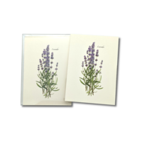 Lavender Boxed Note Cards