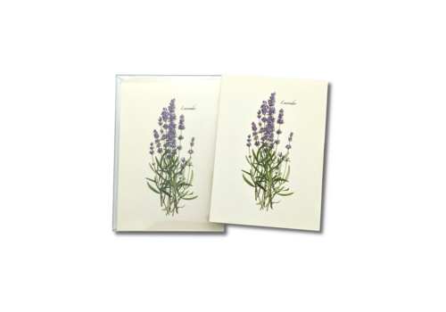  Earth sky water Lavender Boxed Notecards 