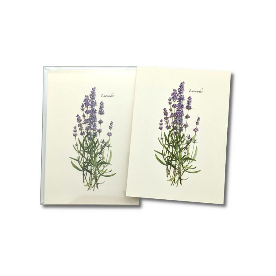 Lavender Boxed Note Cards