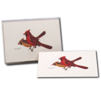 Cardinal Boxed Notecards