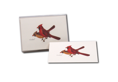  Earth sky water Cardinal Boxed Notecards 