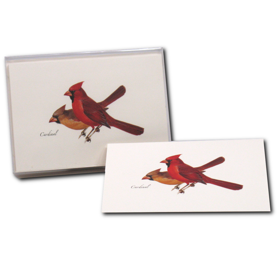 Cardinal Boxed Notecards