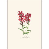Meadow Wildflower Asst Boxed Notecards