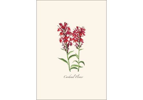  Earth sky water Meadow Wildflower Asst Boxed Notecards 