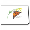Earth sky water Monarch on Goldenrod Boxed Cards