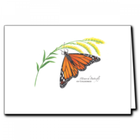 Monarch on Goldenrod Boxed Cards