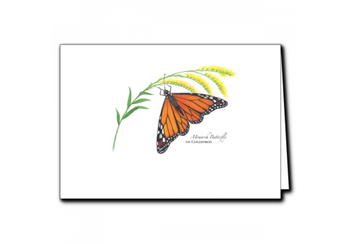  Earth sky water Monarch on Goldenrod Boxed Cards 