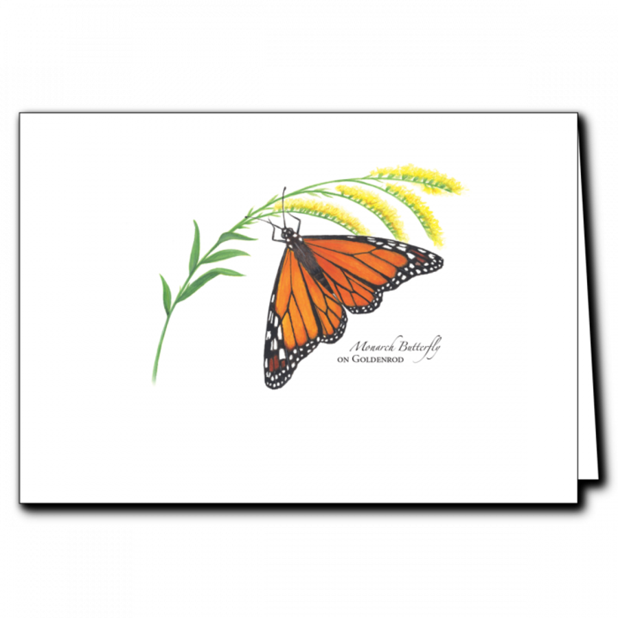 Monarch on Goldenrod Boxed Cards