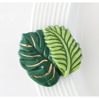 Best Ferns Mini