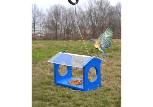  Bluebird Canteen 