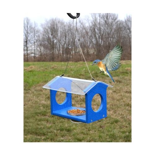  Bluebird Canteen 
