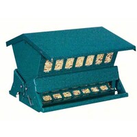 Green Absolute Feeder II