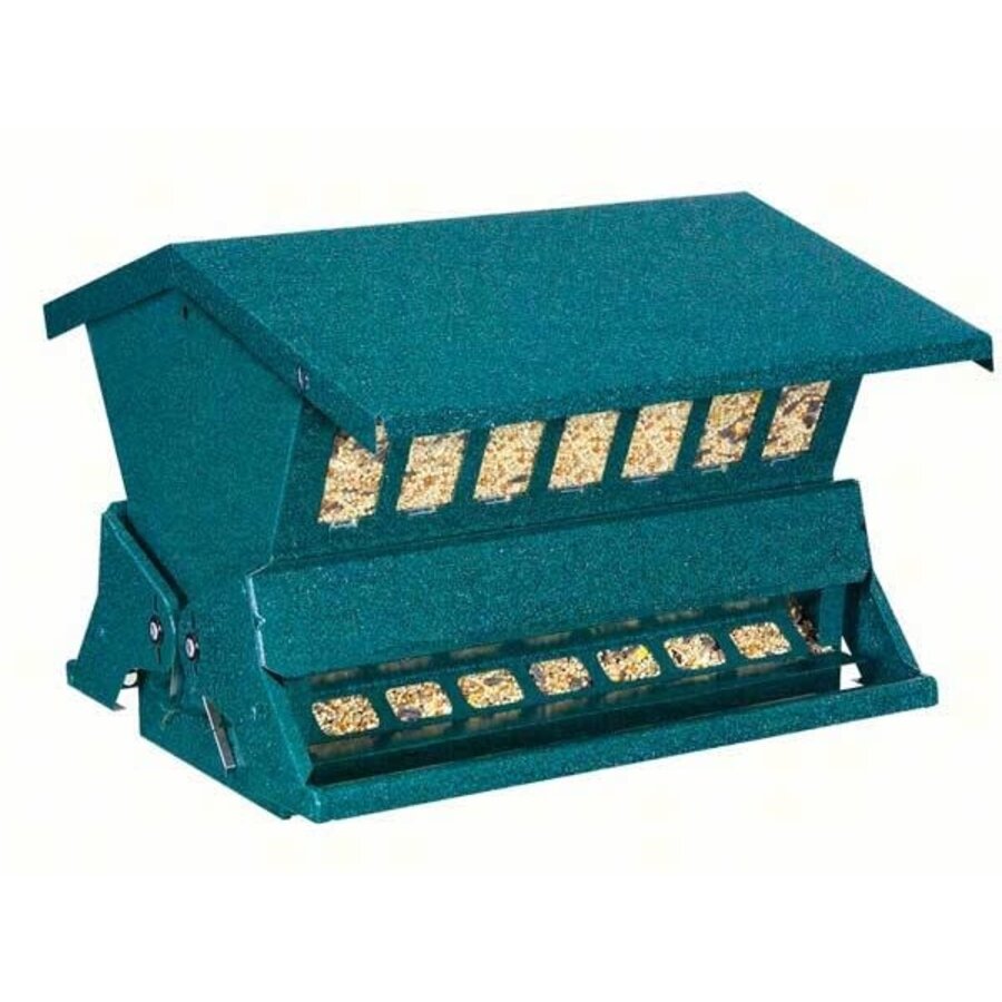 Green Absolute Feeder II