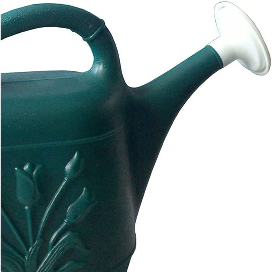 Watering Can Hunter Green 2 Gallon