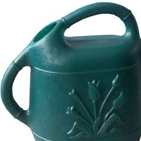 Watering Can Hunter Green 2 Gallon