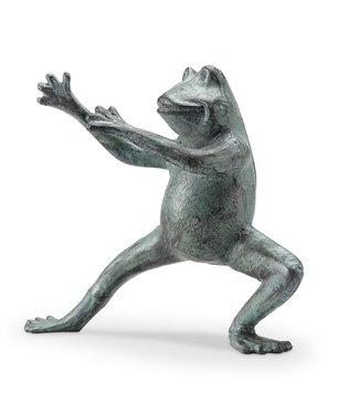 Flexing Tai Chi Frog