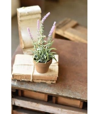 10" Flowering Sage Pot Lavender