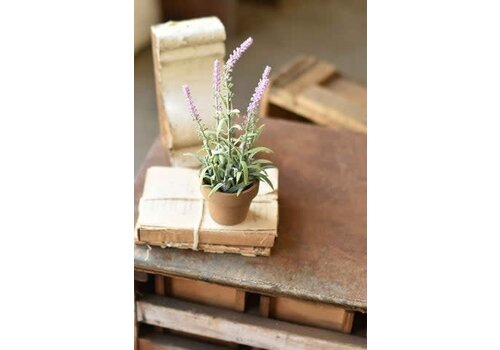  10" Flowering Sage Pot Lavender 