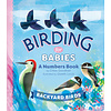 Birding for Babies: Backyard Birds