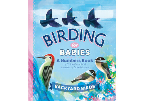  Birding for Babies: Backyard Birds 