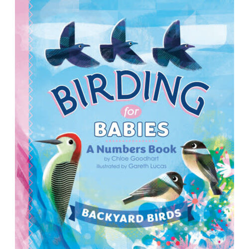  Birding for Babies: Backyard Birds 