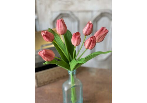  Tulips 