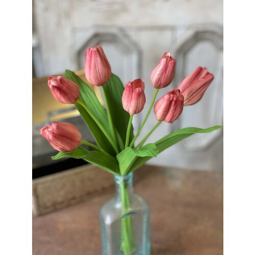  Tulips 