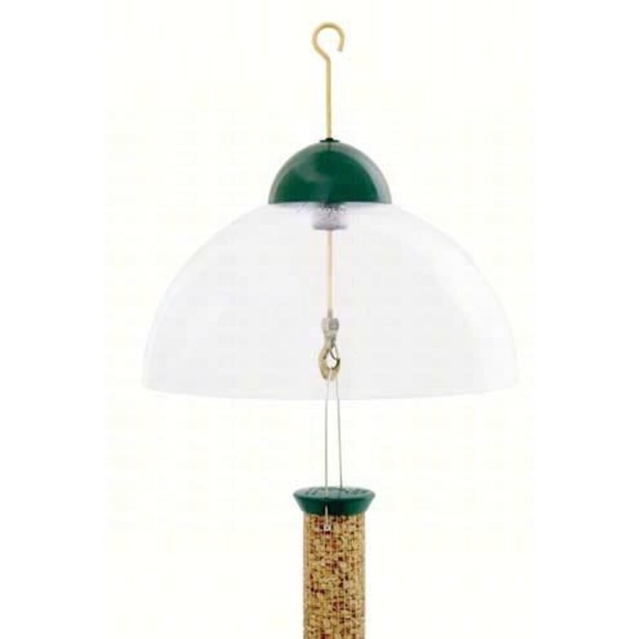 Squirrel Guard Dome Green
