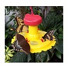 Butterfly Feeder