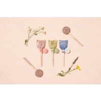 Pollinator Seed Pops - HB