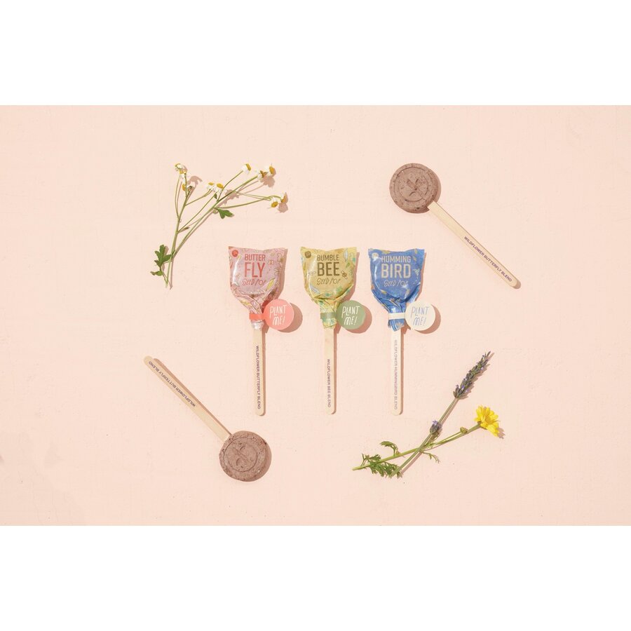Pollinator Seed Pops - HB