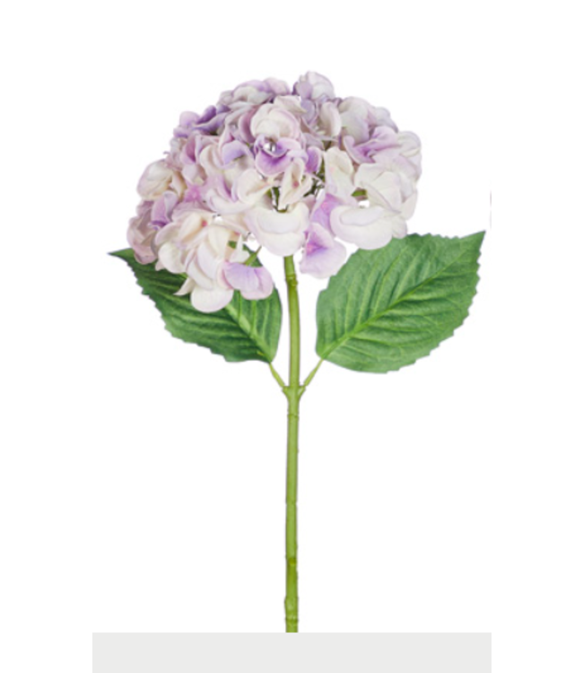 19" Real Touch Hydrangea Stem Bell Farm Shops