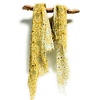 Shihreen Cotton Gauzy Scarf Vine/Flower Buds