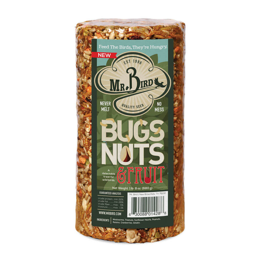 Cylinder Seed Bugs Nut Fruit