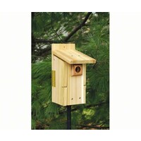 Ultimate Bluebird House