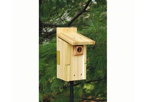  Ultimate Bluebird House 
