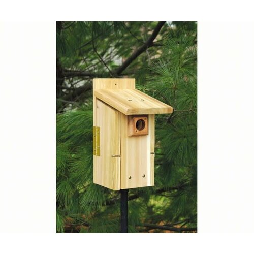 Ultimate Bluebird House   Ultimate Bluebird House