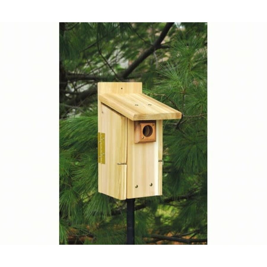 Ultimate Bluebird House