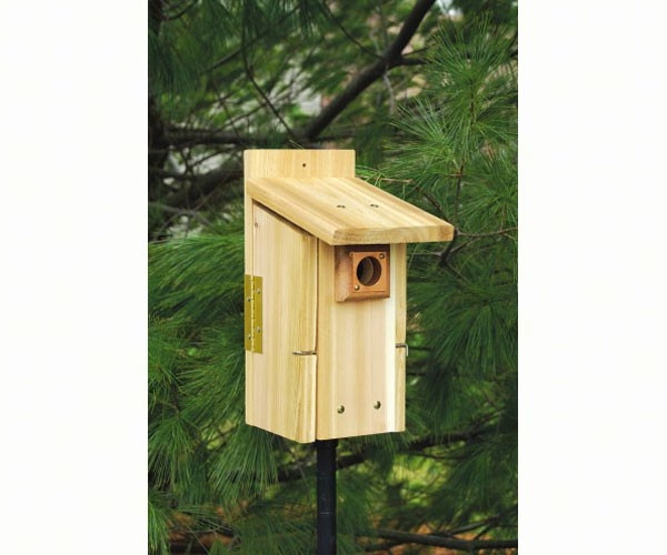 Bluebird House