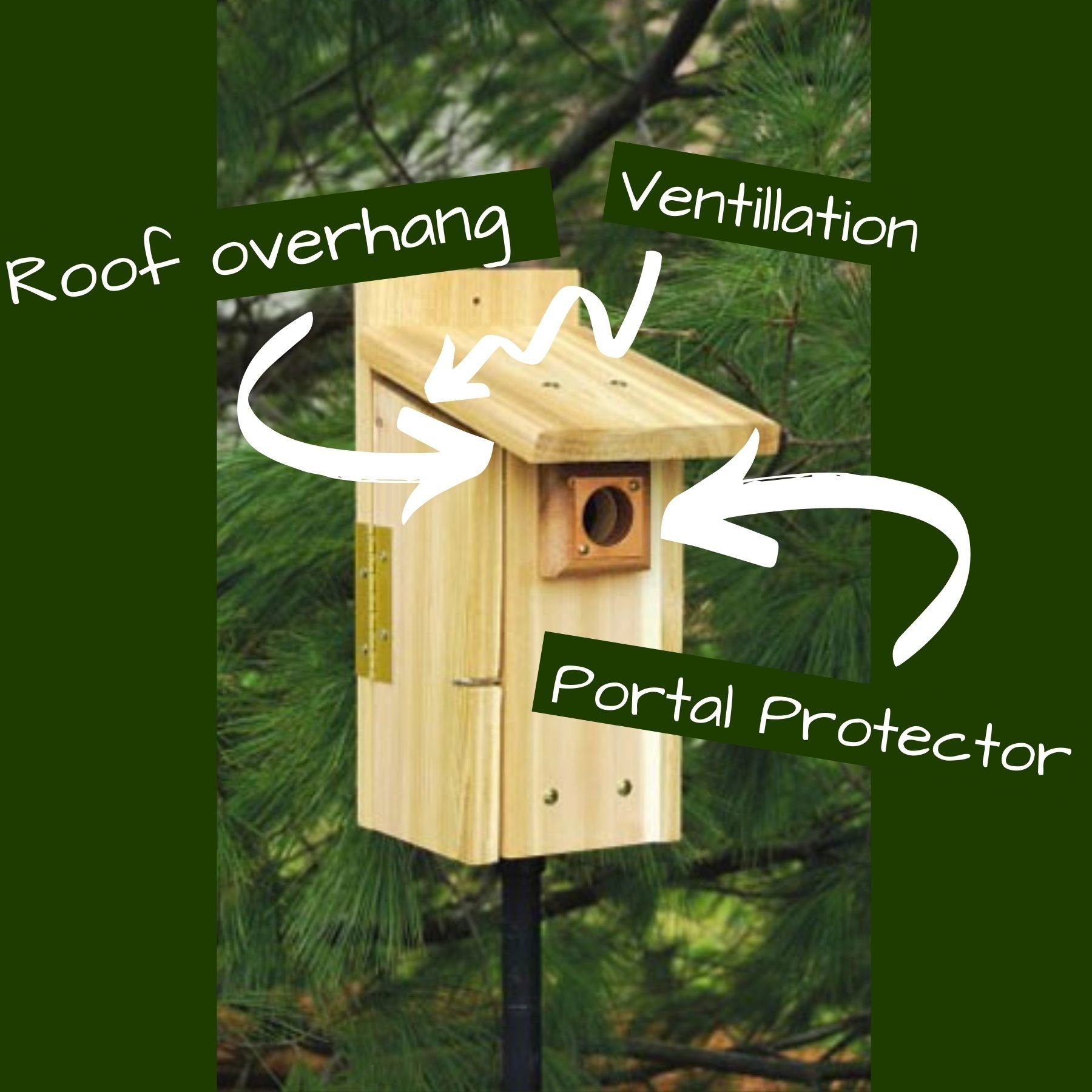 Ultimate Bluebird House Features